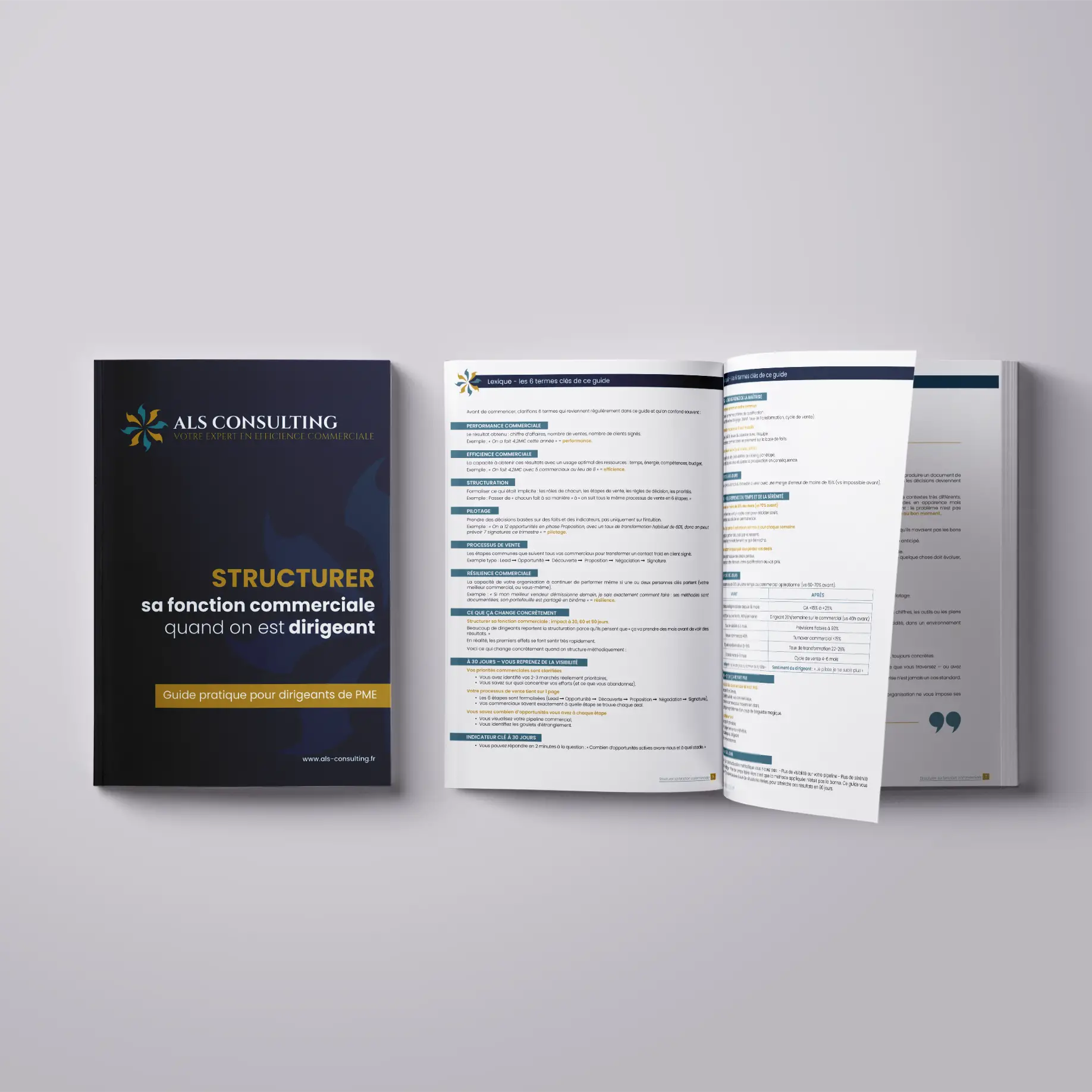 Brochure professionnelle présentant une méthode pour structurer sa fonction commerciale